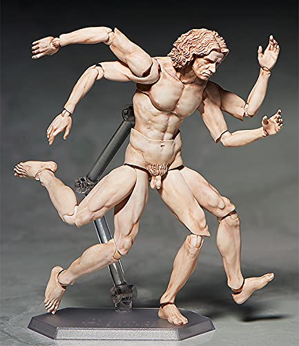Figma Table Museum Vitruvian Human Figure Non-Scale Abs Pvc Painted Movable Figure Secondary Resale- Japan Figure Store - #1 Bring To You The Best Japanese Goods