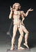 Figma Table Museum Vitruvian Human Figure Non-Scale Abs Pvc Painted Movable Figure Secondary Resale- Japan Figure Store - #1 Bring To You The Best Japanese Goods