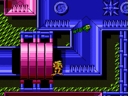 Columbus Circle (Fc/Fc Compatible Machine) Battletoads Video Games Made In Japan- Japan Figure Store - #1 Bring To You The Best Japanese Goods