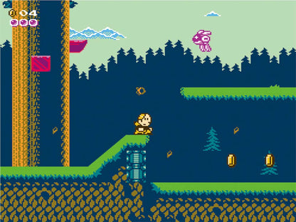 Broke Studio Pico Pico Grand Adventure Omeke Games Video Games From Japan- Japan Figure Store - #1 Bring To You The Best Japanese Goods