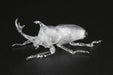 Fujimi Model Free Study Series No.21 Ex-1 Living Things Beetle (Clear) Free Study-21 Ex-1- Japan Figure Store - #1 Bring To You The Best Japanese Goods