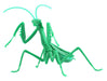 FUJIMI Research Series Tenodera Aridifolia Metallic Green Japanese Giant Mantis Plastic Model- Japan Figure Store - #1 Bring To You The Best Japanese Goods