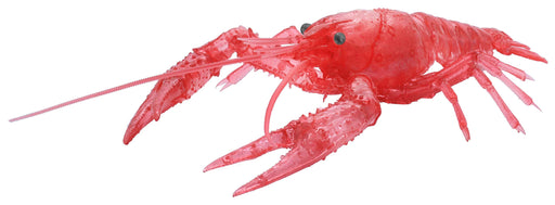FUJIMI Research Series Procambarus Clarkii / Louisiana Crawfish Special Version Clear Red Plastic Model- Japan Figure Store - #1 Bring To You The Best Japanese Goods