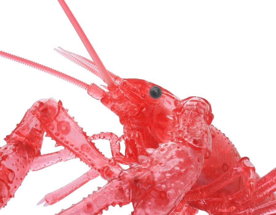 FUJIMI Research Series Procambarus Clarkii / Louisiana Crawfish Special Version Clear Red Plastic Model- Japan Figure Store - #1 Bring To You The Best Japanese Goods