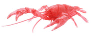 FUJIMI Research Series Procambarus Clarkii / Louisiana Crawfish Special Version Clear Red Plastic Model- Japan Figure Store - #1 Bring To You The Best Japanese Goods
