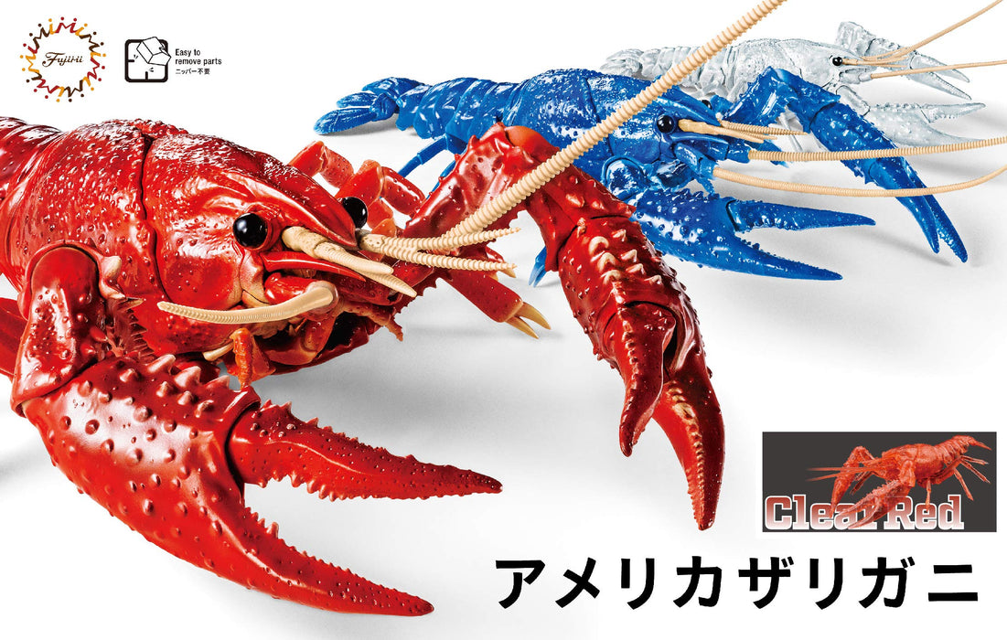 FUJIMI Research Series Procambarus Clarkii / Louisiana Crawfish Special Version Clear Red Plastic Model- Japan Figure Store - #1 Bring To You The Best Japanese Goods