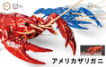 FUJIMI Research Series Procambarus Clarkii / Louisiana Crawfish Special Version Clear Red Plastic Model- Japan Figure Store - #1 Bring To You The Best Japanese Goods