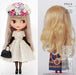 Graphic Augmented Edition The Dictionary Of Fashion Dolls Book- Japan Figure Store - #1 Bring To You The Best Japanese Goods