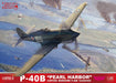 GREAT WALL HOBBY 1/32 P-40B Pearl Harbor Curtiss Warhawk Plastic Model- Japan Figure Store - #1 Bring To You The Best Japanese Goods