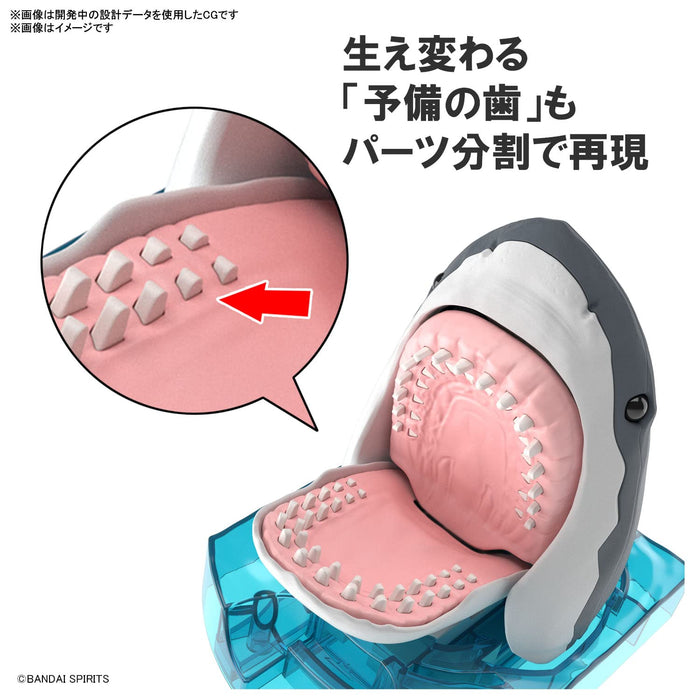BANDAI Exploring Lab Nature Great White Shark Plastic Model- Japan Figure Store - #1 Bring To You The Best Japanese Goods