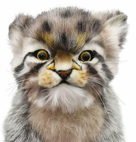 Hansa Stuffed Animal Real No.7299 Pallas Cat Pups 17 Bh7299- Japan Figure Store - #1 Bring To You The Best Japanese Goods