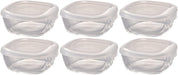 Hario KST-25-TW 6pcs 250ml Square Glass Storage Container Japan- Japan Figure Store - #1 Bring To You The Best Japanese Goods