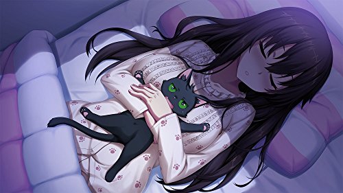 Harukaze Nora To Oujo To Noraneko Heart Nintendo Switch - New Japan Figure 4580240060850 5