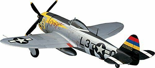 Hasegawa 1/48 Us Army P-47d-25 Thunderbolt Plastic Model Jt40 - Japan Figure
