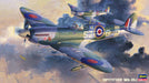 HASEGAWA Jt79 Spitfire Mk.Ix C 1/48 Scale Kit- Japan Figure Store - #1 Bring To You The Best Japanese Goods