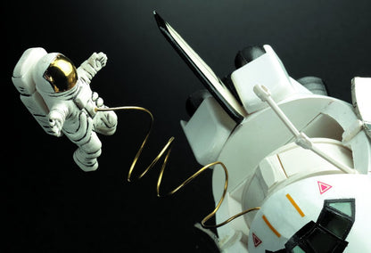 Hasegawa Tri Tool Series TF-5 Gold Mirror Finish - High-Quality Craftsmanship- Japan Figure Store - #1 Bring To You The Best Japanese Goods