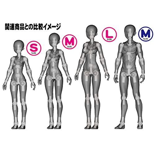 Hobby Base 1/12 Premium Parts Collection Joint Technique Ex Sozai-Chan L Size Brown Hobby Material Ppc-T98- Japan Figure Store - #1 Bring To You The Best Japanese Goods