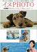 Hobby Japan Dog Photo Book Art Book - Japan Figure