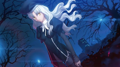 Kadokawa Games Fate/Hollow Ataraxia Psvita - Used Japan Figure 4997766201689 6