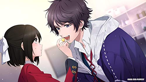 Idea Factory Paradigm Paradox Nintendo Switch - New Japan Figure 4995857096770 2