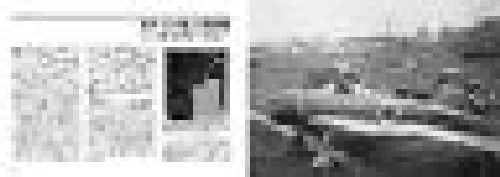 Ikaros Publishing Meatballs And Dead Birds Book- Japan Figure Store - #1 Bring To You The Best Japanese Goods