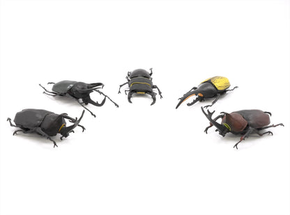F-TOYS - Incects Hunter Rhinoceros Beetle X Stag Beetle 10Pcs Box - Candy Toy- Japan Figure Store - #1 Bring To You The Best Japanese Goods