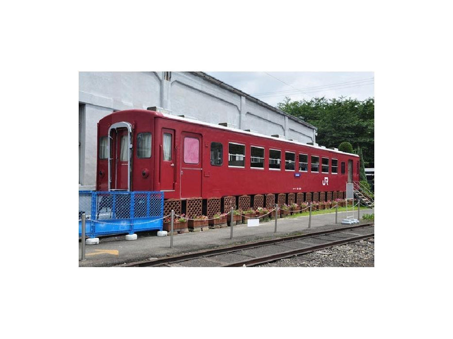 Kato Railway Model Passenger Car - N Gauge Ohafu 50 5143- Japan Figure Store - #1 Bring To You The Best Japanese Goods