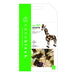 KAWADA Nanoblock Giraffe- Japan Figure Store - #1 Bring To You The Best Japanese Goods