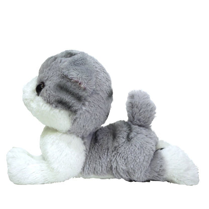 SUNLEMON Plush Doll Kitten Scottish Fold Gray Size S Tjn- Japan Figure Store - #1 Bring To You The Best Japanese Goods