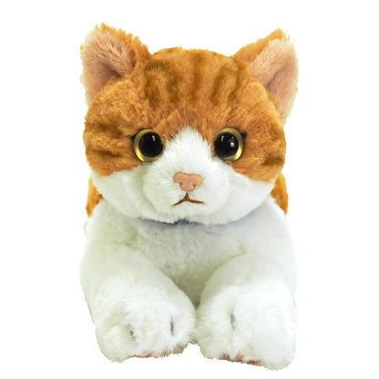 SUNLEMON - Plush Doll Hiza Neko Chashiro - White/Brown Cat Size S- Japan Figure Store - #1 Bring To You The Best Japanese Goods