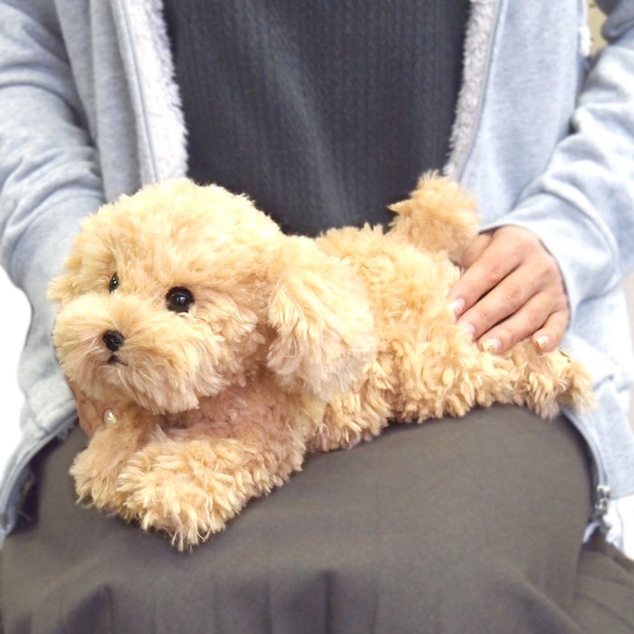 Sun Lemon Plush Doll Lap Dog Plush Hiza Wanko Toy Poodle Beige Tjn- Japan Figure Store - #1 Bring To You The Best Japanese Goods