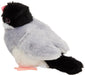 Yoshitoku Anime Stuffed Bird Kotori No Ne. Java Sparrow 180093 Japanese Bird Model Toys- Japan Figure Store - #1 Bring To You The Best Japanese Goods