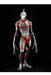 Acro Japan Krs X Nirasawa Fake Ultraman Soft Vinyl Painted Figure- Japan Figure Store - #1 Bring To You The Best Japanese Goods