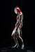 Acro Japan Krs X Nirasawa Fake Ultraman Soft Vinyl Painted Figure- Japan Figure Store - #1 Bring To You The Best Japanese Goods