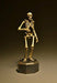 Kt Project Kt-006 Takeya Freely Figure Skeleton Color Edition- Japan Figure Store - #1 Bring To You The Best Japanese Goods