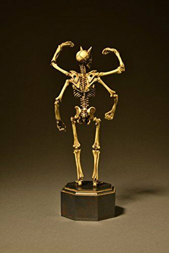 Kt Project Kt-006 Takeya Freely Figure Skeleton Color Edition- Japan Figure Store - #1 Bring To You The Best Japanese Goods