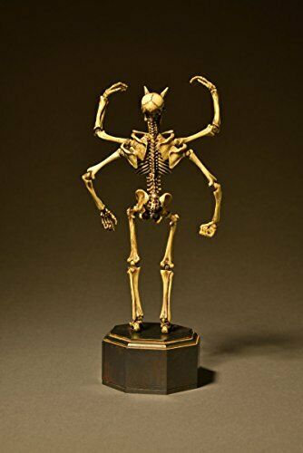 Kt Project Kt-006 Takeya Freely Figure Skeleton Color Edition- Japan Figure Store - #1 Bring To You The Best Japanese Goods