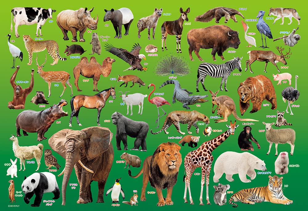Beverly 100Pc Jigsaw Puzzle Zoo (26X38Cm) Made In Japan 100-041- Japan Figure Store - #1 Bring To You The Best Japanese Goods
