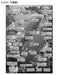 BEVERLY L74-191 Jigsaw Puzzle Creatures Of The Deep Sea In Japanese 150 L-Pieces- Japan Figure Store - #1 Bring To You The Best Japanese Goods