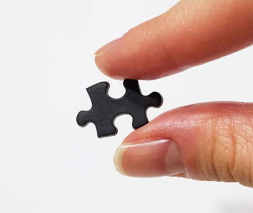 Beverly Jigsaw Puzzle S73-610 All Black Jigsaw (The Hell Puzzle) (300 S-Pieces) Small Piece Puzzle- Japan Figure Store - #1 Bring To You The Best Japanese Goods