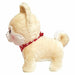 Mameshiba Dog Brothers Big Plush Doll 32cm Stuffed Toy Shiba Inu Sasuke- Japan Figure Store - #1 Bring To You The Best Japanese Goods