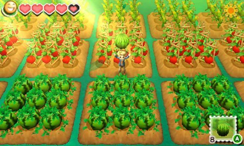 Marvelous Aql Bokujou Monogatari: Tsunagaru Shin Tenchi 3Ds - Used Japan Figure 4535506302137 1