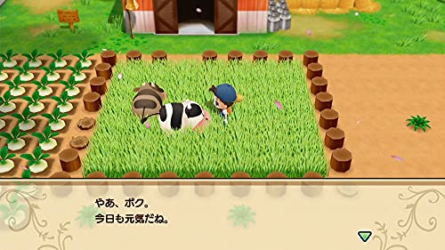 Marvelous Bokujou Monogatari Saikai Mineral Town For Sony Playstation Ps4 - New Japan Figure 4535506303295 3