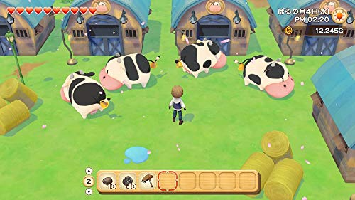 Marvelous Story Of Seasons Pioneers Of Olive Town Nintendo Switch - New Japan Figure 4535506303233 3