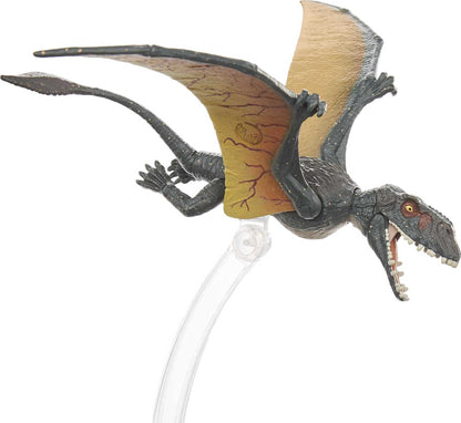 Mattel Jurassic World Amber Collection Dimorphodon Ghy67 Japanese Action Figures- Japan Figure Store - #1 Bring To You The Best Japanese Goods