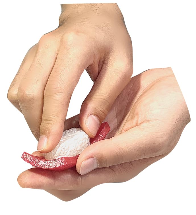 Megahouse Demolition Lite Sushi Puzzle -Tuna- 15+- Japan Figure Store - #1 Bring To You The Best Japanese Goods