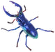 Mic Dream Stag Beetle Sapphire Painted Plastic Kit- Japan Figure Store - #1 Bring To You The Best Japanese Goods