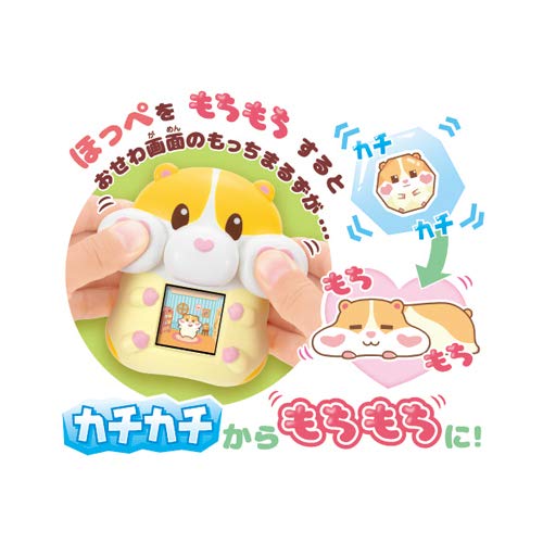 Sega Toys Mocchimaruzu Pet Cream Japanese Cute Squishy Electronic Toys Made In Japan- Japan Figure Store - #1 Bring To You The Best Japanese Goods