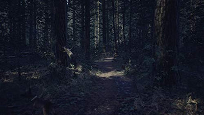 Na Publishing Blair Witch Nintendo Switch - New Japan Figure 4988635001097 1