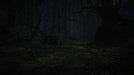 Na Publishing Blair Witch Nintendo Switch - New Japan Figure 4988635001097 3